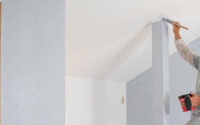 Finding the Best Professional Painters in Sonoma County