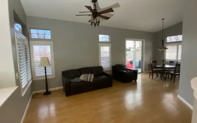 Painting Options for a Living Room: Colors, Finishes, and Design Ideas