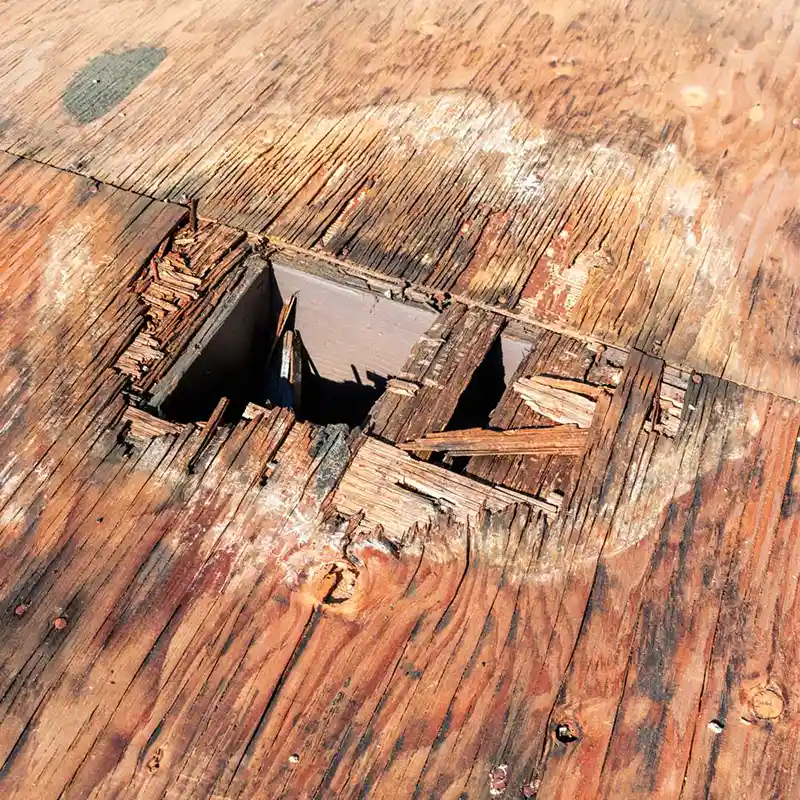 Dry rot in plywood floor